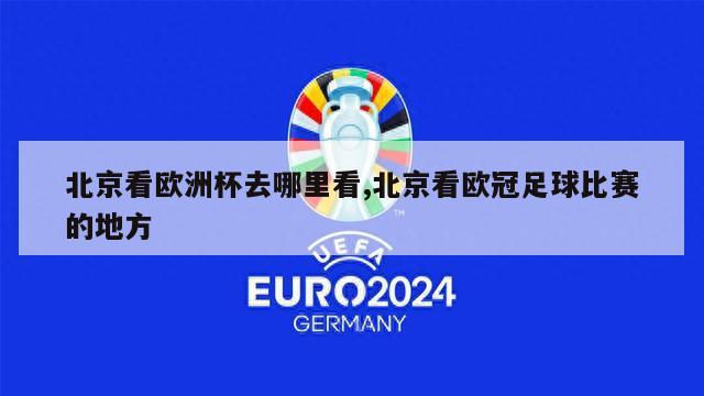 北京看欧洲杯去哪里看,北京看欧冠足球比赛的地方