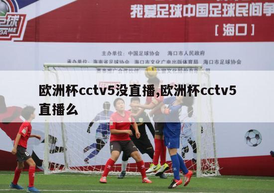 欧洲杯cctv5没直播,欧洲杯cctv5直播么