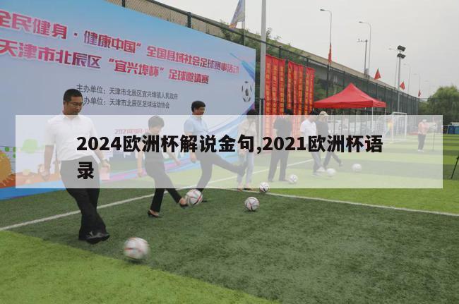 2024欧洲杯解说金句,2021欧洲杯语录