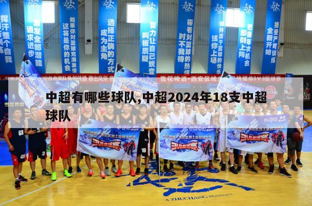 中超有哪些球队,中超2024年18支中超球队